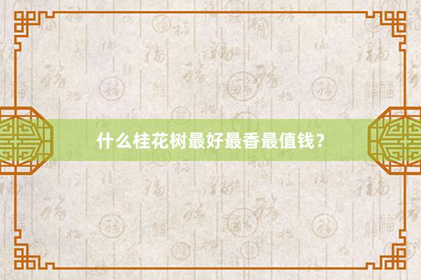 什么桂花树最好最香最值钱？