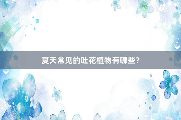 夏天常见的吐花植物有哪些？